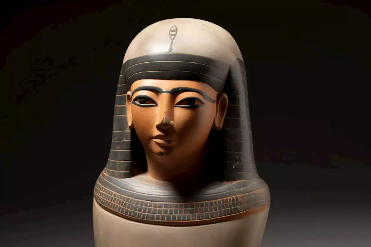 The Scent of the Afterlife: Ancient Egyptian Mummification Balm Ingredients