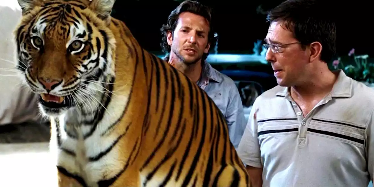 The Harsh Truths Of The Hangover's Captive Tigers Explained By Big Cat Expert