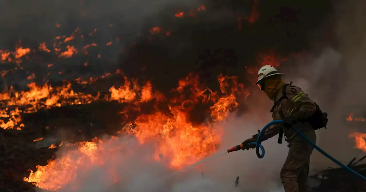 PJ deteve suspeito de atear sete fogos em Penafiel