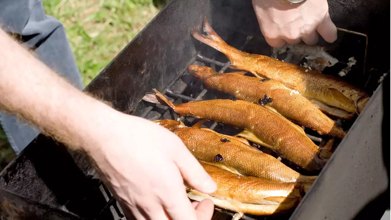 Tischräucherofen für Fisch, Fleisch und Gemüse: Fünf Modelle im Vergleich