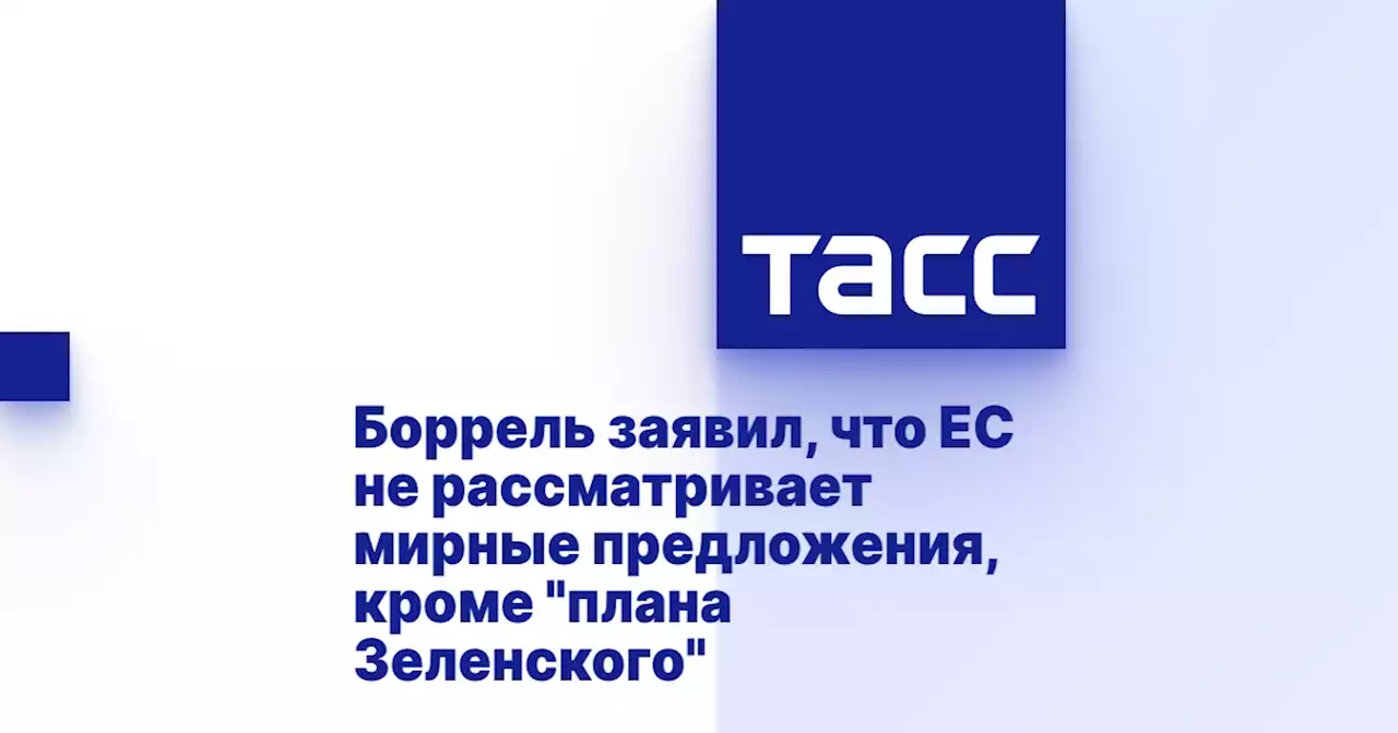 Боррель заявил, что ЕС не рассматривает мирные предложения, кроме 'плана Зеленского'