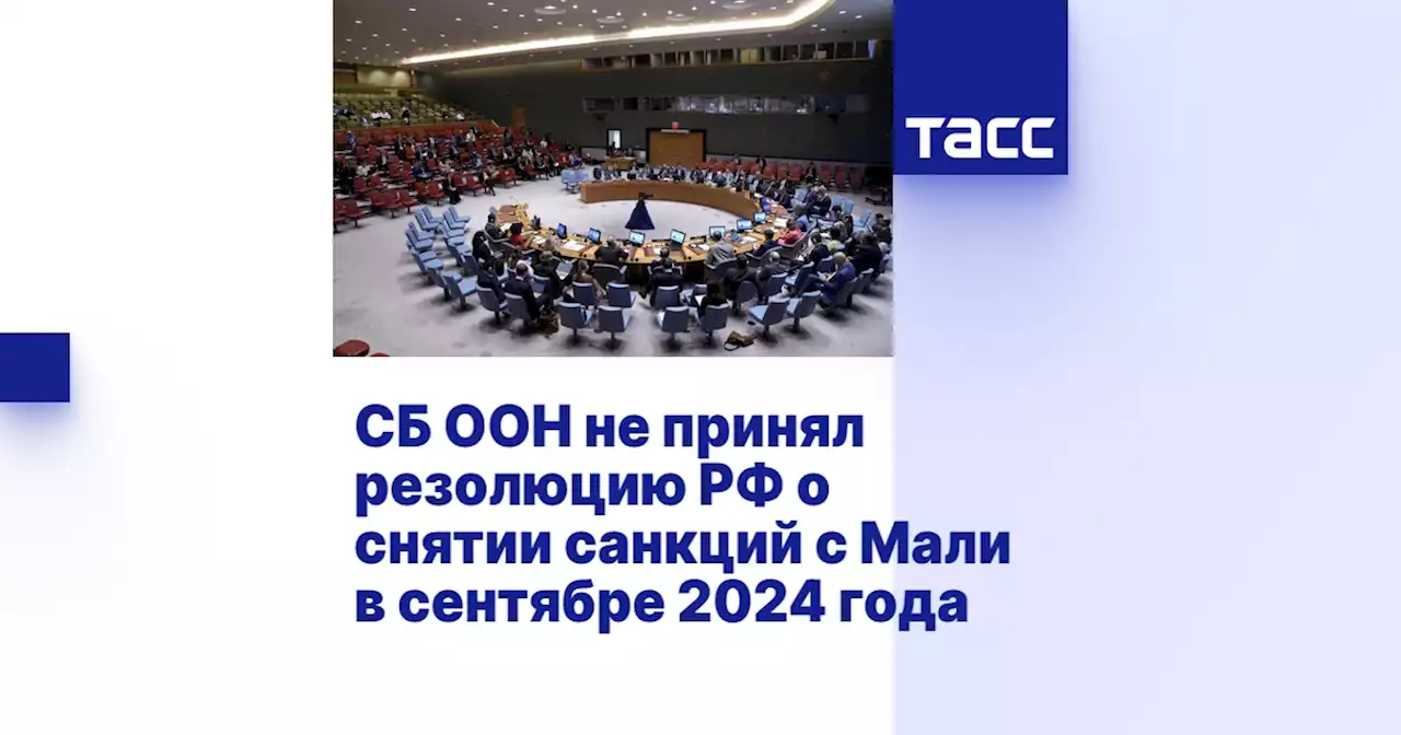 СБ ООН не принял резолюцию РФ о снятии санкций с Мали в сентябре 2024 года