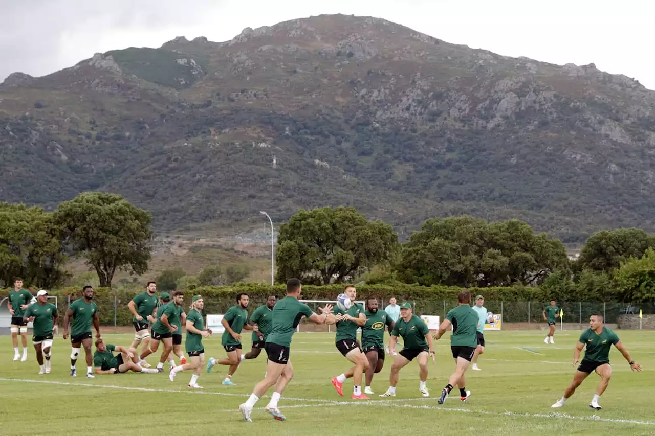 'France are World Cup favourites,' says coach as Boks wrap up training on Corsica