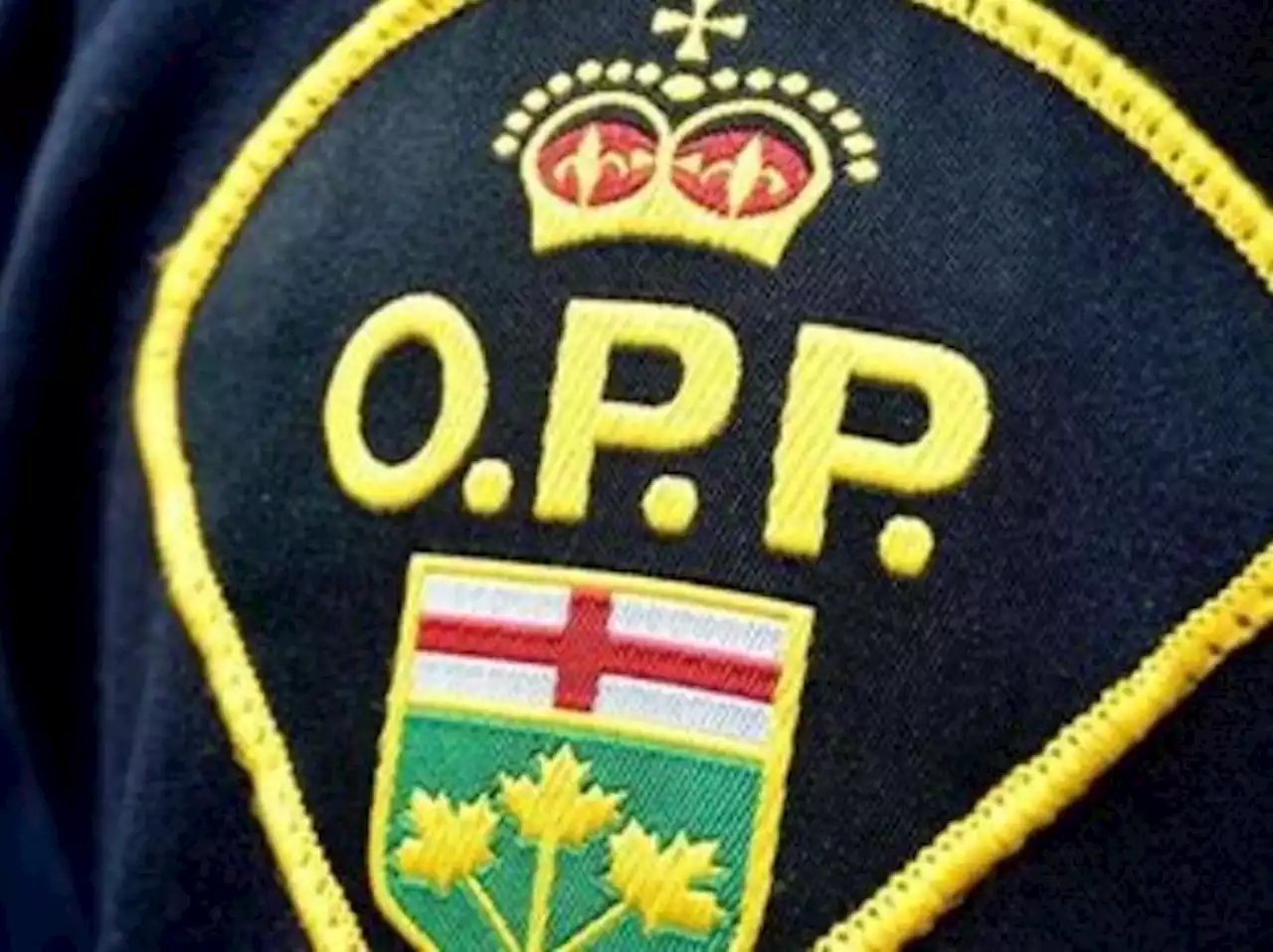 Close to half of all OPP-patrolled road deaths preventable: Police