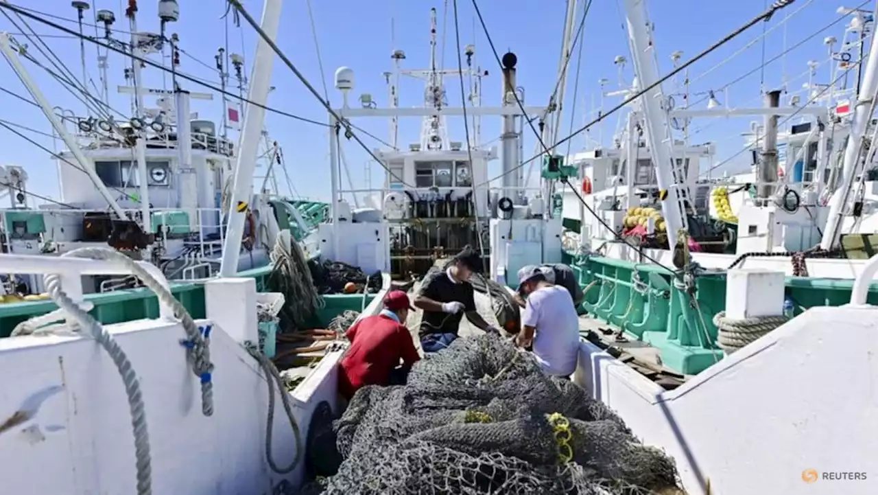 Fukushima: Japan to help fishers after China’s seafood ban — Nikkei