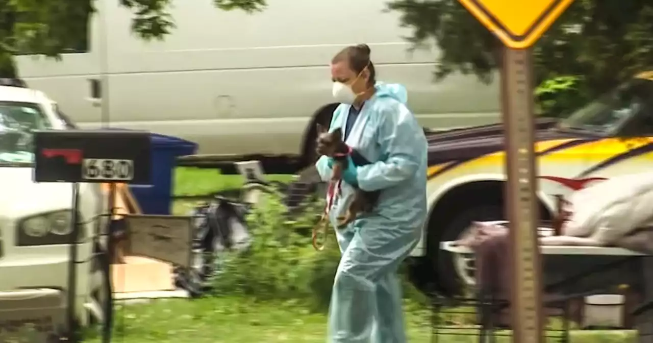 Police find over 30 dead dogs in New Jersey home