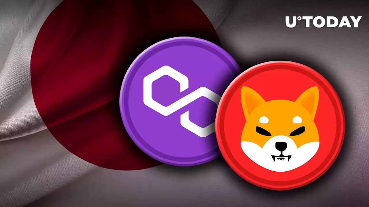 Major Japanese Exchange Adds Polygon Support for Shiba Inu (SHIB)