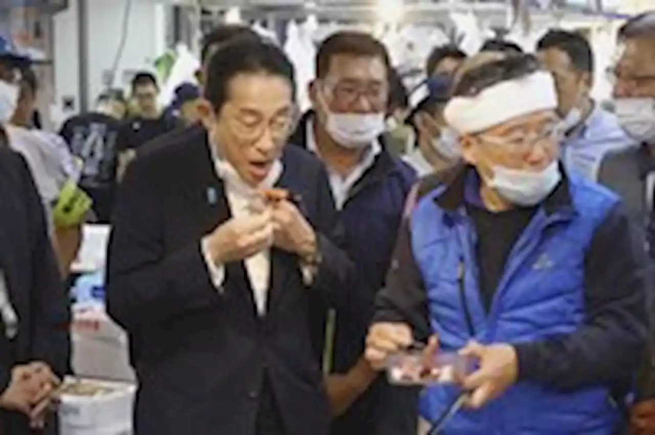 Japanese ministers eat Fukushima sashimi to show water release is safe