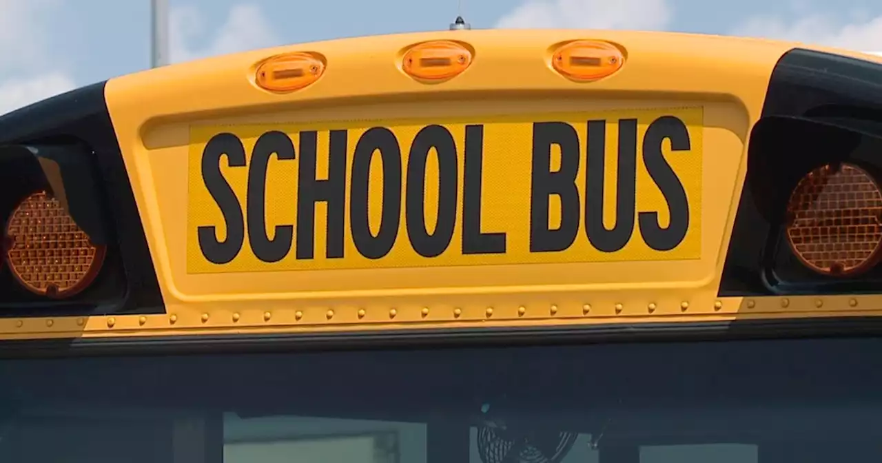 Gov. Mike DeWine creates task force to evaluate school bus safety