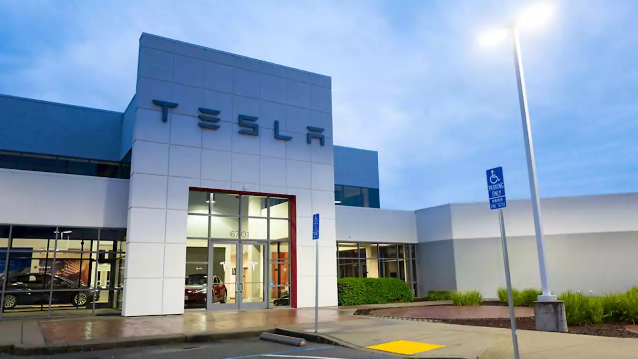 'Magnificent Seven' playbook: What to know about Tesla