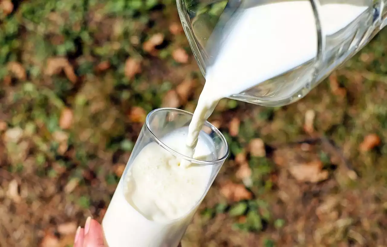 Un agent immobilier boit du lait chez une cliente et écope d’une amende