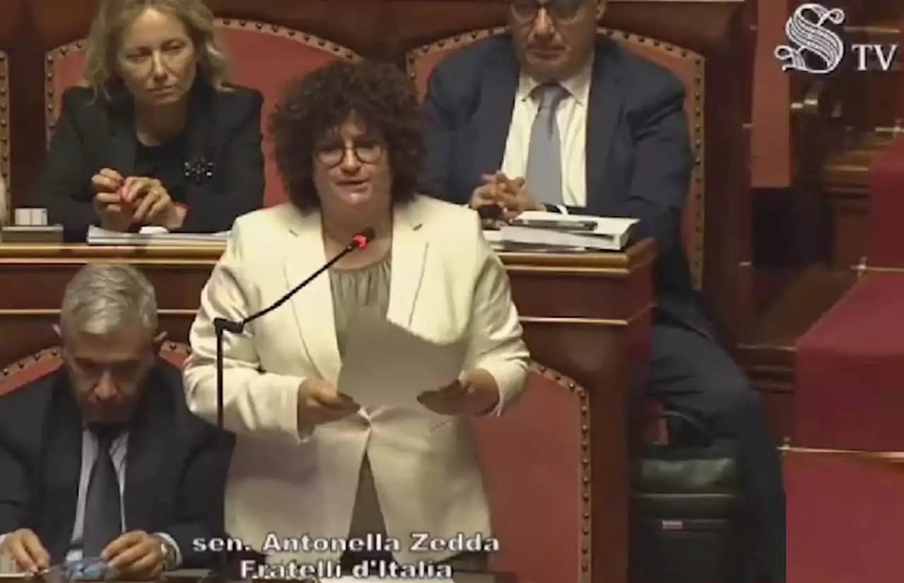 Senato, Zedda 'corregge' Centinaio: 'Mi chiami 'senatore, non senatrice'