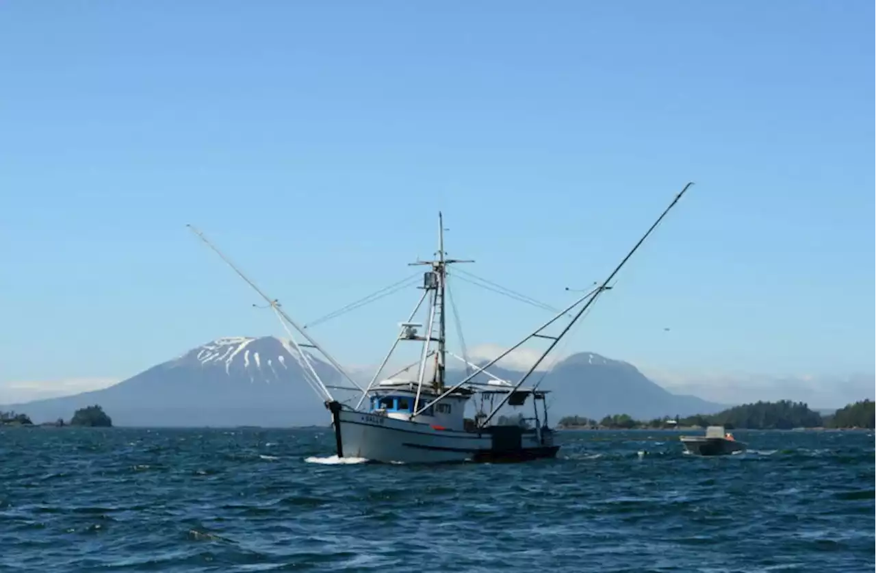 Fish were plentiful, but fishermen scarce for Southeast Alaska’s first summer king opening