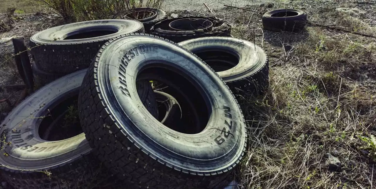 Indigenous Tribes Ask EPA to Save Salmon by Addressing Tire Chemicals