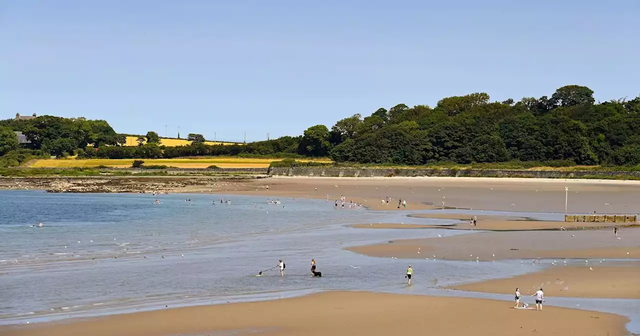 North Down bathing sites no longer pose risk to health after new tests