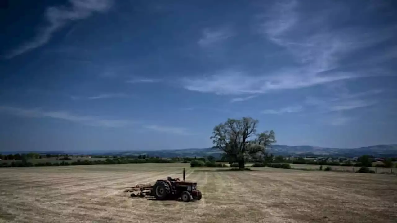 Rhône: l'alerte sécheresse et les mesures de restriction étendues à l'ensemble du département