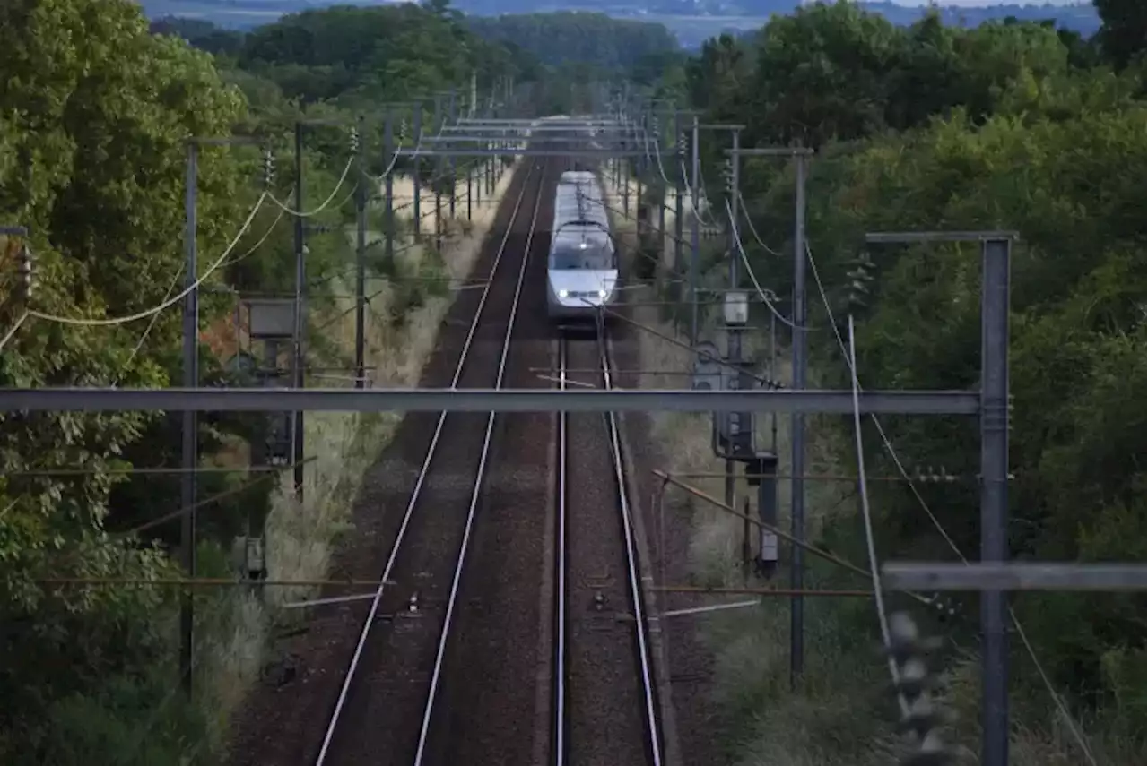 SNCF : d\u00e9couvrez les nouvelles lignes de trains Ouigo lents et moins chers