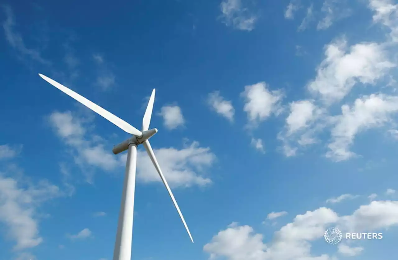 UK net-zero ‘pragmatism’ is an odd way to get real