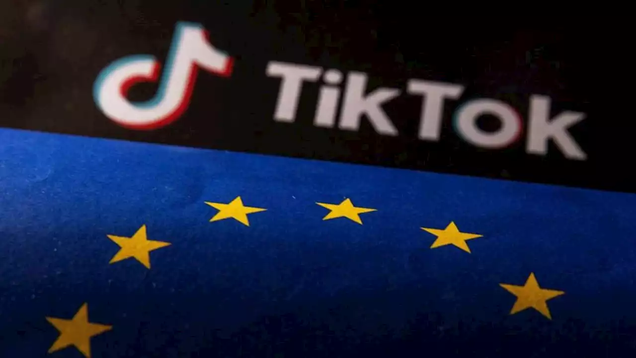 TikTok unveils new measures ahead of EU Digital Services Act