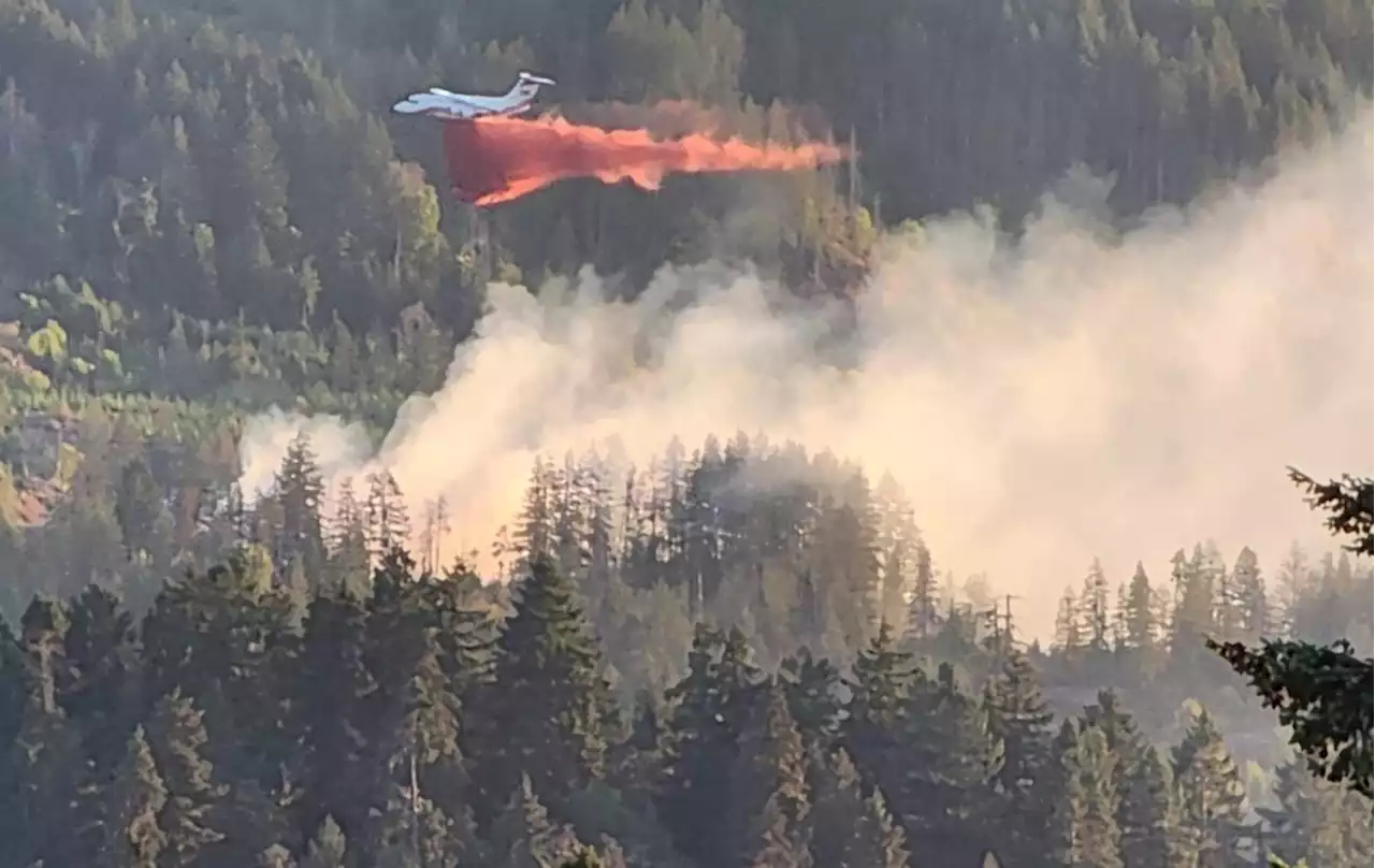 Out of control wildfire sparked near Port Alberni Thursday night