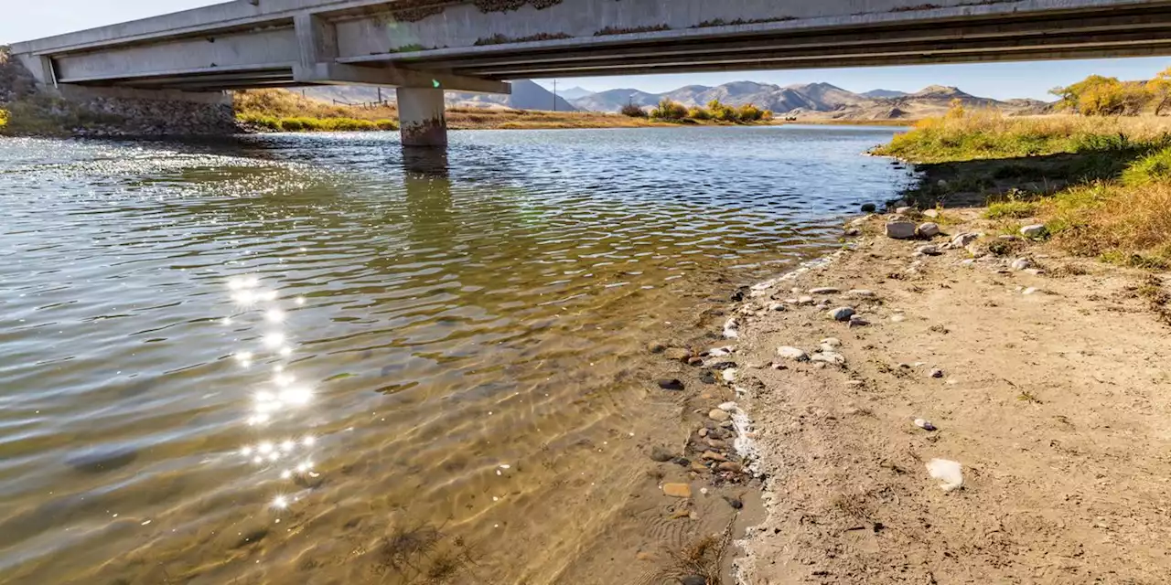 Rare otter attack injures three women floating on inner tubes on popular Montana river