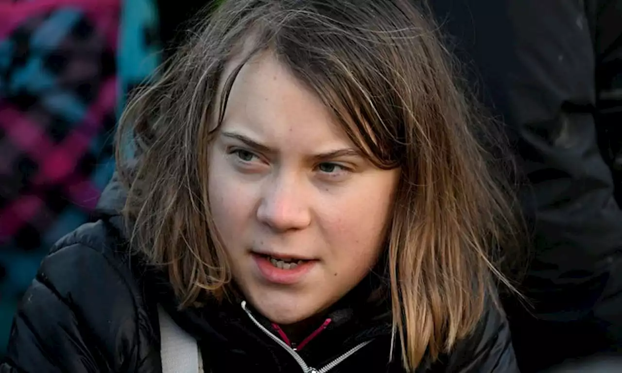 Greta Thunberg pulls out of Edinburgh Book Festival appearance after accusing key sponsor of greenwashing