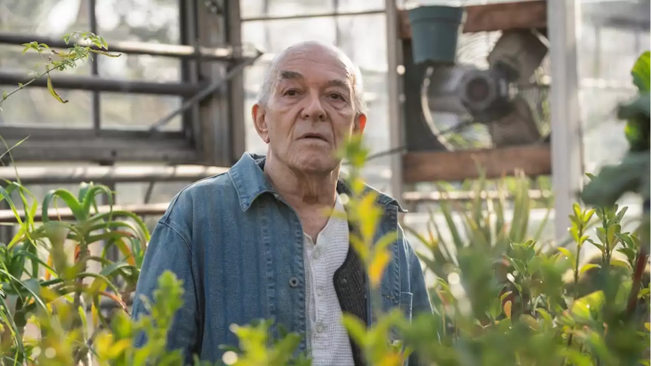 Mark Margolis, 'Breaking Bad' and 'Better Call Saul' actor, dead at 83