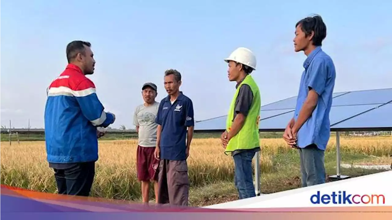 Desa Energi Berdikari Pertamina Bertambah, Total Ada 52 Titik Se-RI