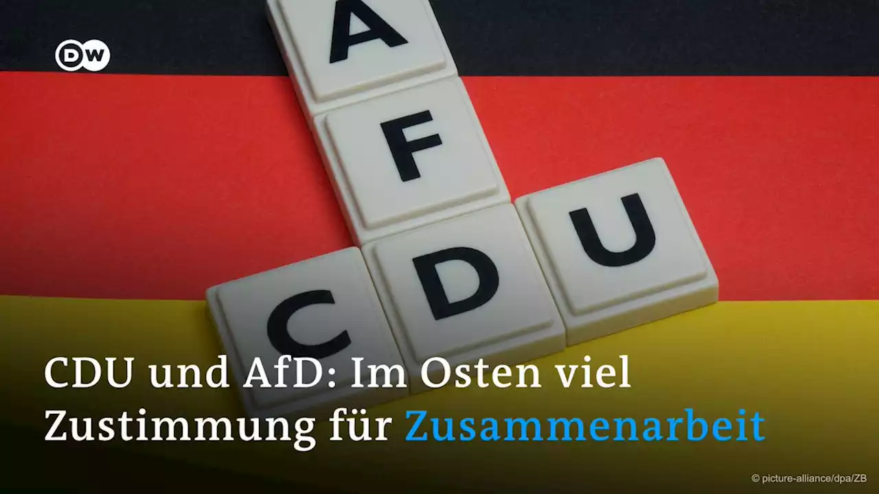 AfD und CDU: Im Osten viel Zustimmung für Zusammenarbeit – DW – 03.08.2023