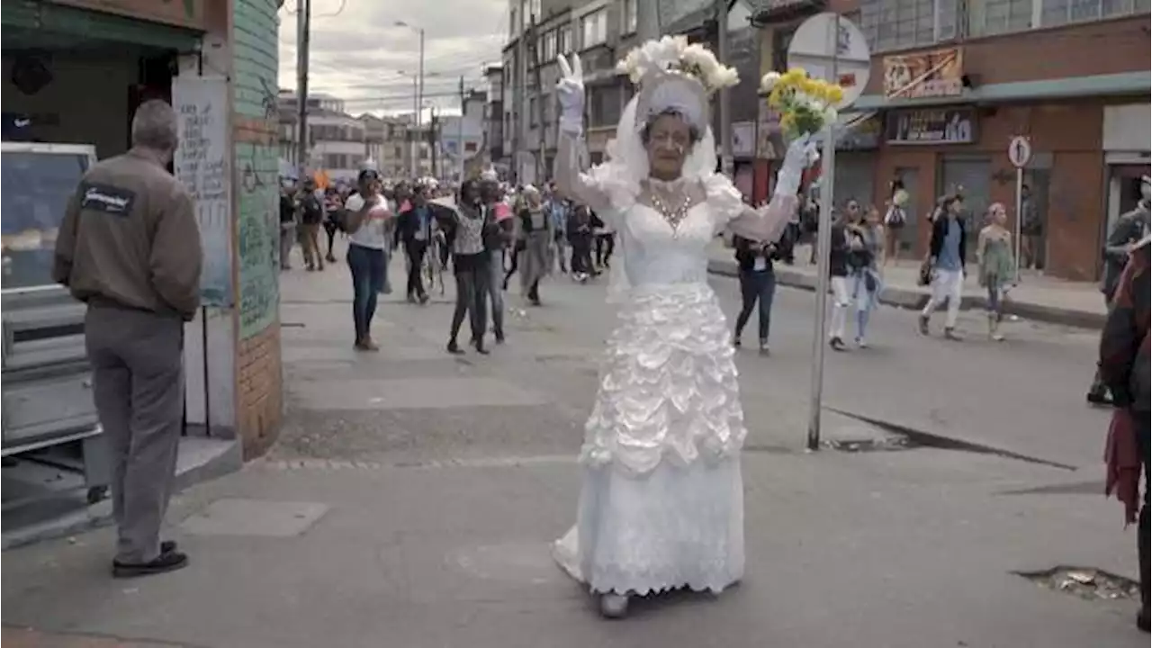 “Todas las flores”, realidades de personas trans en Latinoamérica