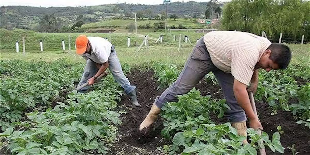 Gobierno da nuevo impulso para acelerar una reforma agraria en el país