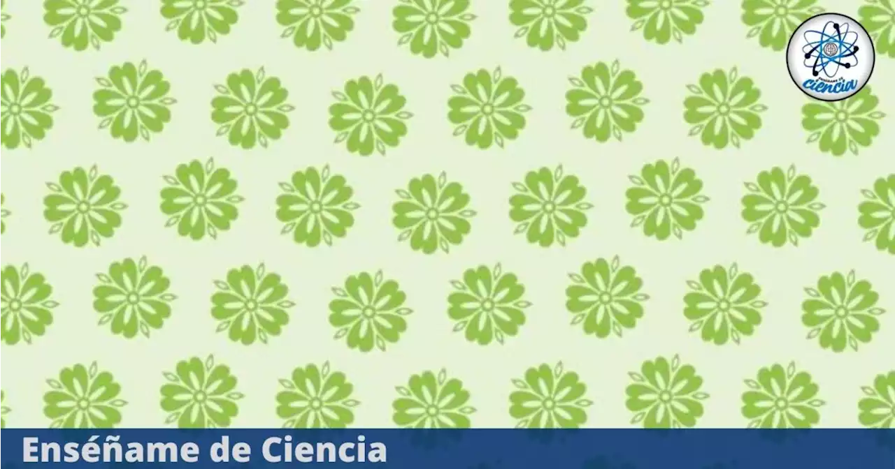 Reto visual nivel PRO: Encuentra la flor diferente en menos de 5 segundos