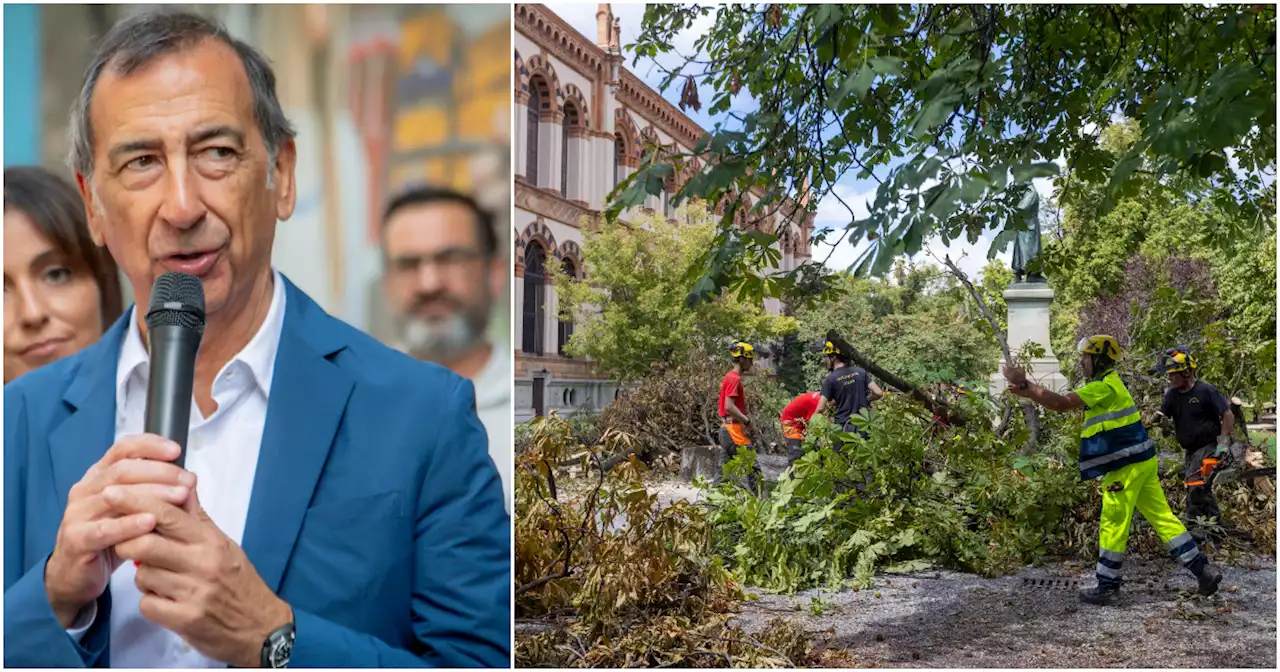 Clima, a Milano parchi ancora chiusi dopo la strage di alberi. 'Cosa serve? Un grande piano di sostituzione'. Ma il 25% delle nuove piante muore a causa dell'incuria - Il Fatto Quotidiano