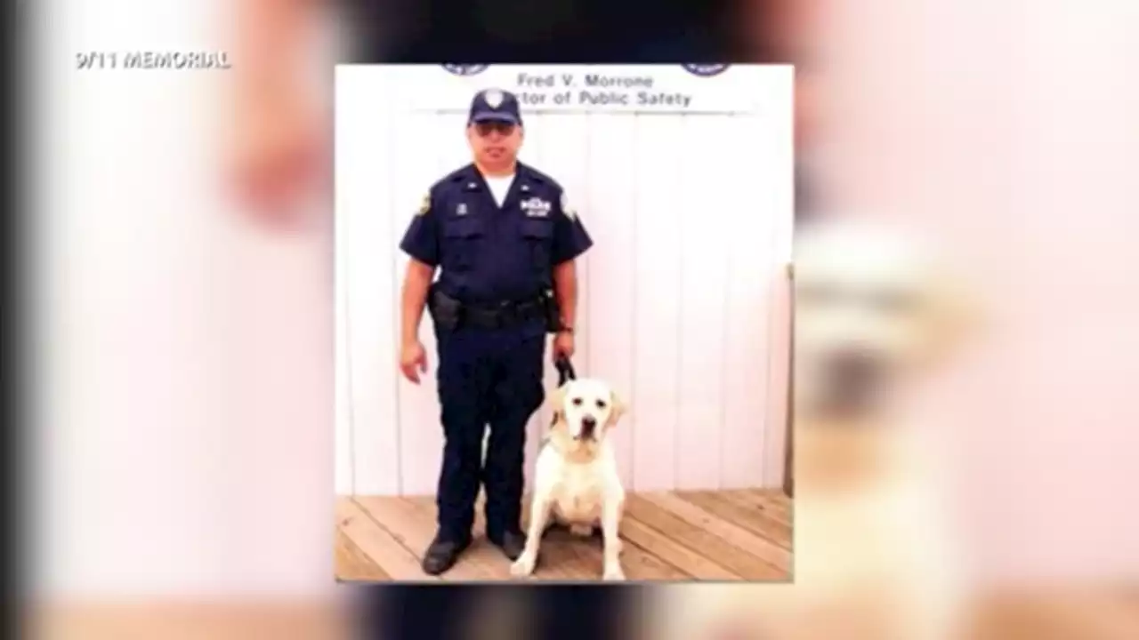 9/11 Museum honors Sirius, the dog who protected the WTC