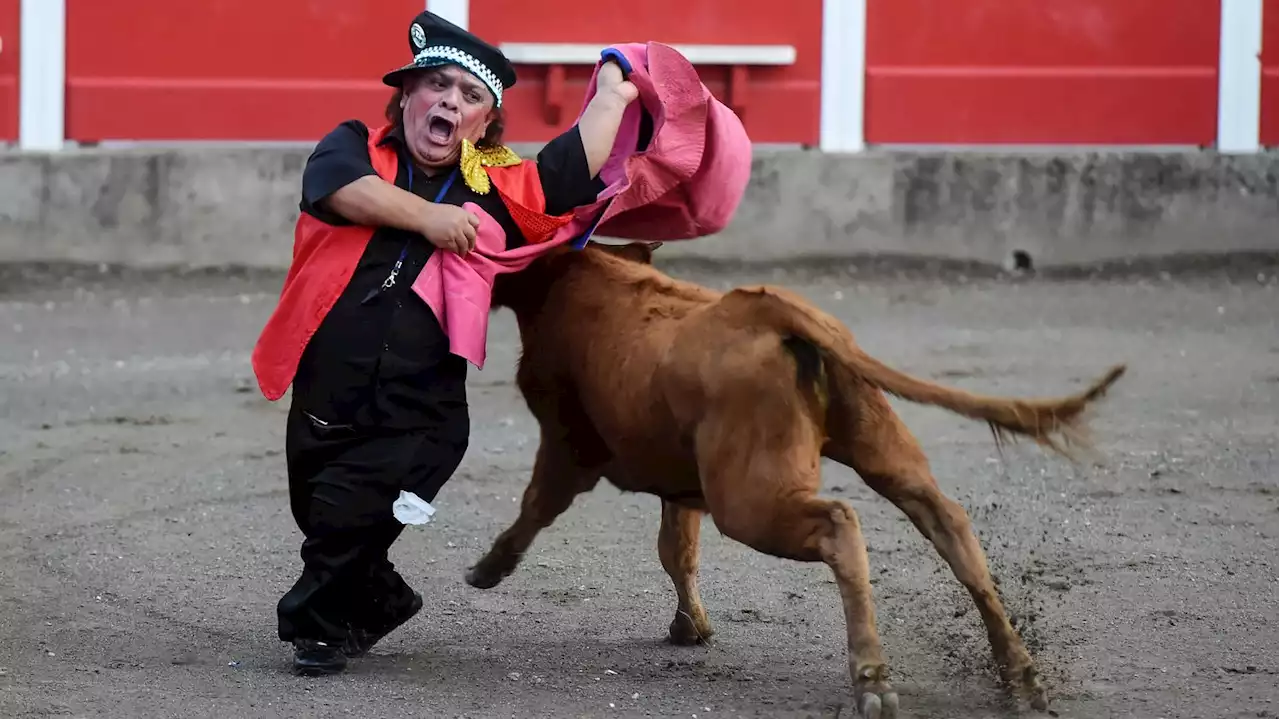 Interdit en Espagne, un spectacle de 'nains toreros' présenté dans le sud-ouest de la France