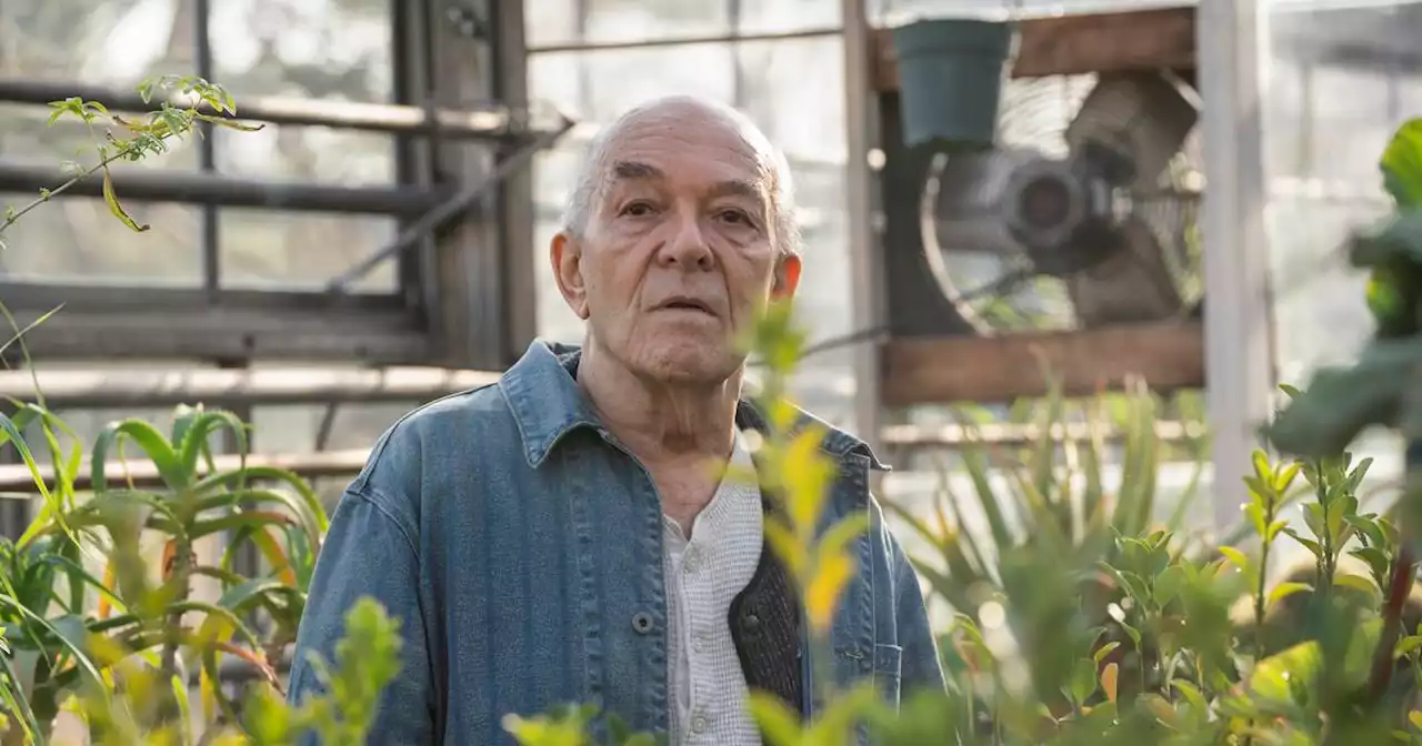 Mark Margolis, best known as Hector Salamanca in Breaking Bad, dies aged 83