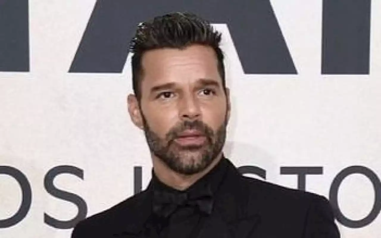 Ricky Martin se pronuncia sobre separação: 'Sempre seremos uma família' | Celebridades | O Dia