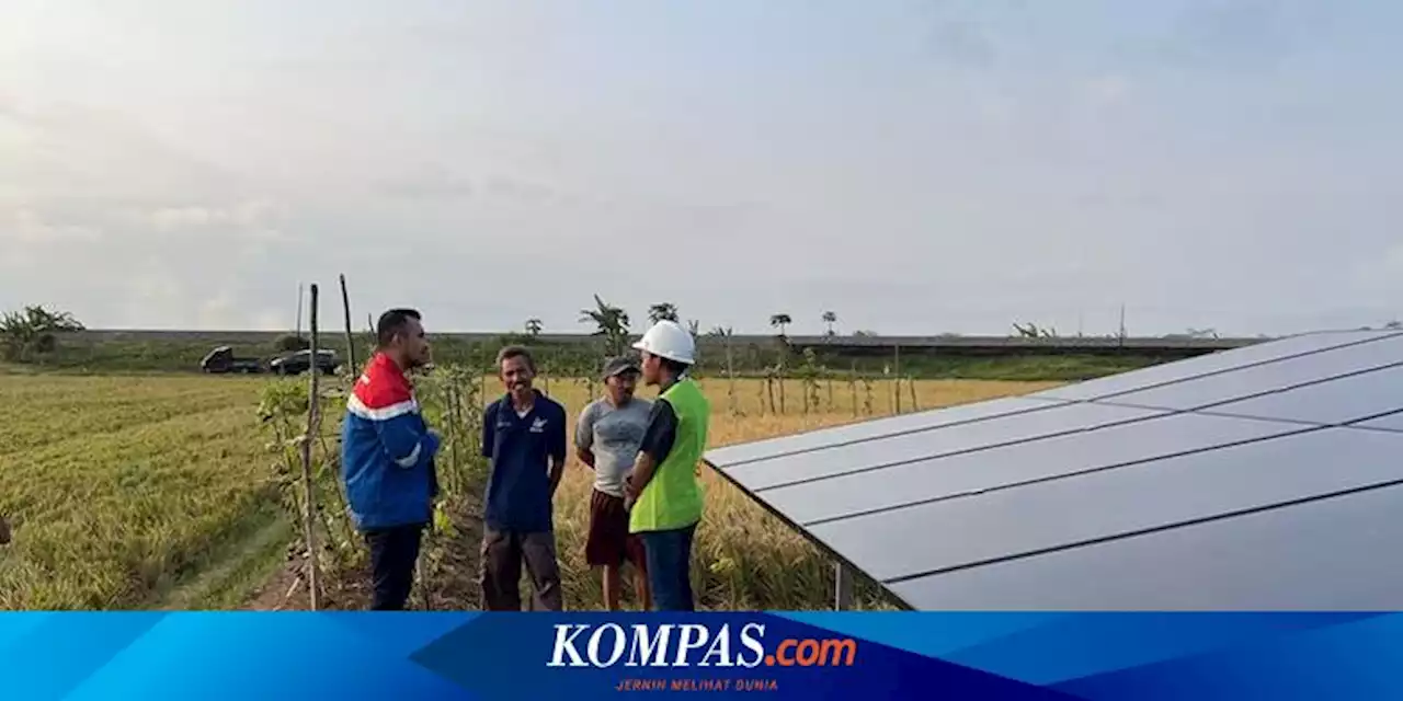 Berdayakan Energi Lokal yang Bersih, Desa Energi Berdikari Pertamina Kini Hadir di 52 Titik Lokasi Se-Indonesia