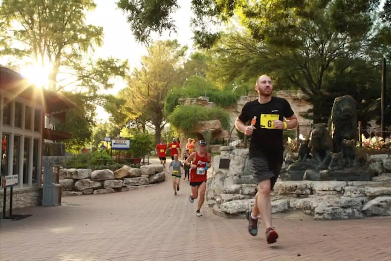 San Antonio Zoo to host annual Zoo Run for adults, kids in September