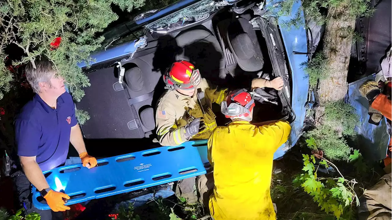 Teens rescued from car stuck in Nebo Loop trees after driving off 100-foot embankment