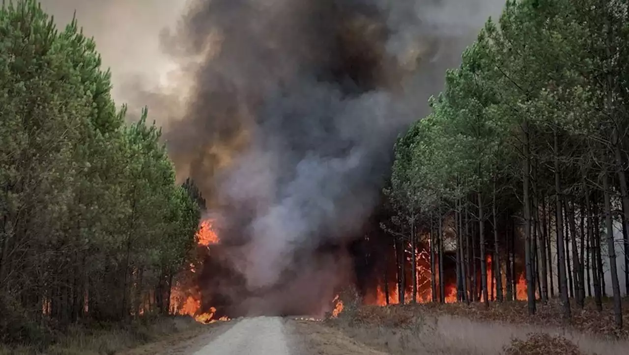 Feux de forêts : risque exceptionnel samedi dans les Pyrénées-Orientales, alerte rouge dimanche dans les Bouches-du-Rhône et le Var