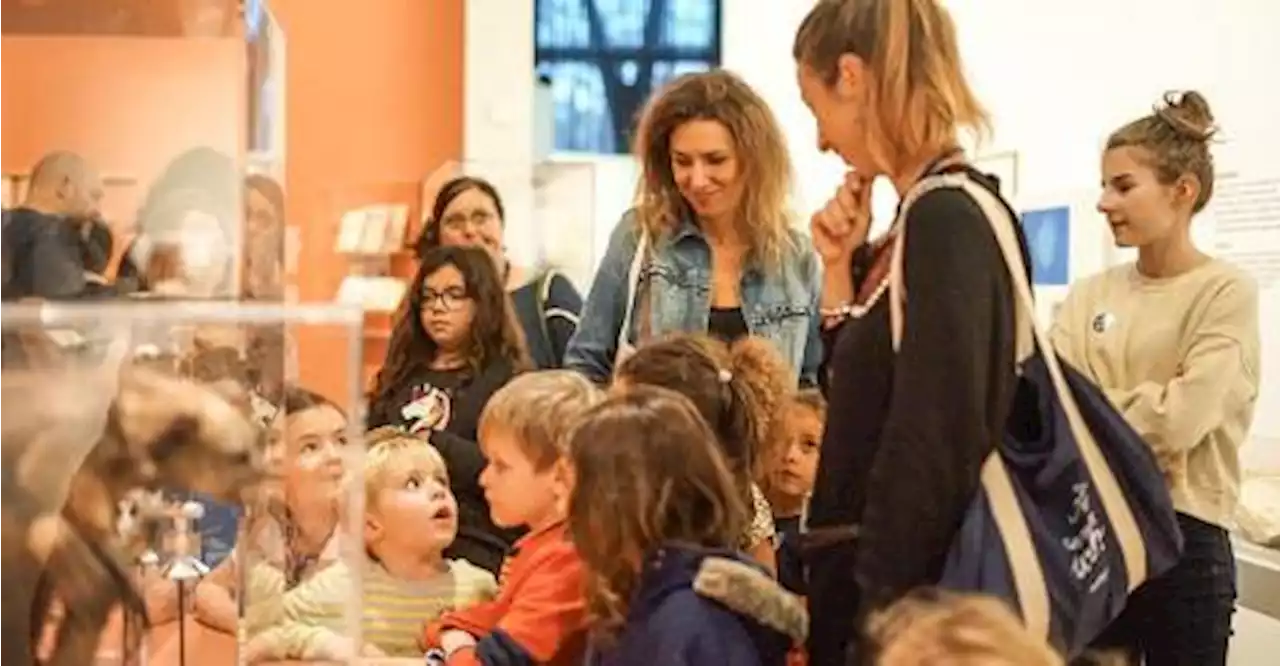 Les contes pour enfants enchantent le Mucem