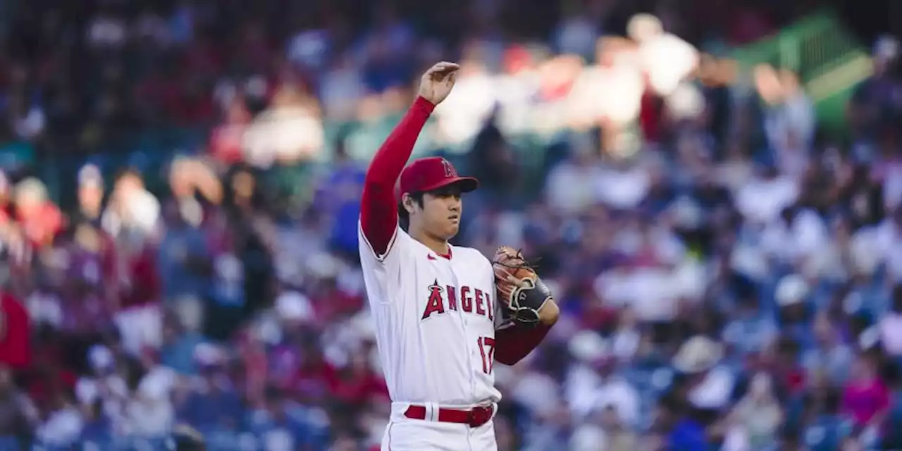 MLB: Shohei Ohtani, imparable, batea su jonrón 40 de la campaña para liderar las Grandes Ligas (VIDEO)