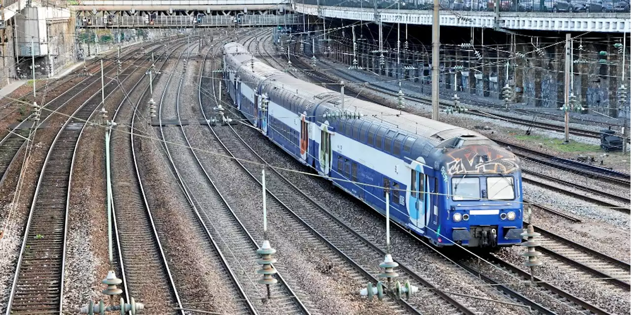 Lyon : des passagers laissés sur le quai après un arrêt plus court que prévu