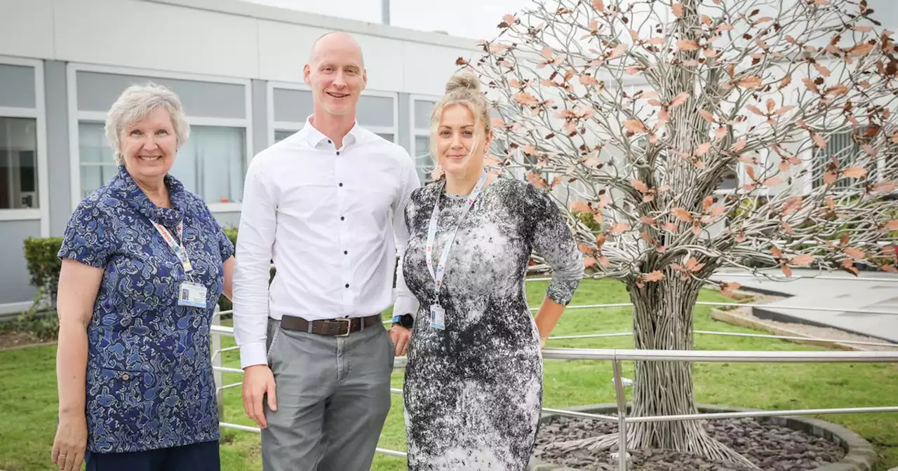 Memorial tree of organ donors becomes centrepiece of Hospital garden