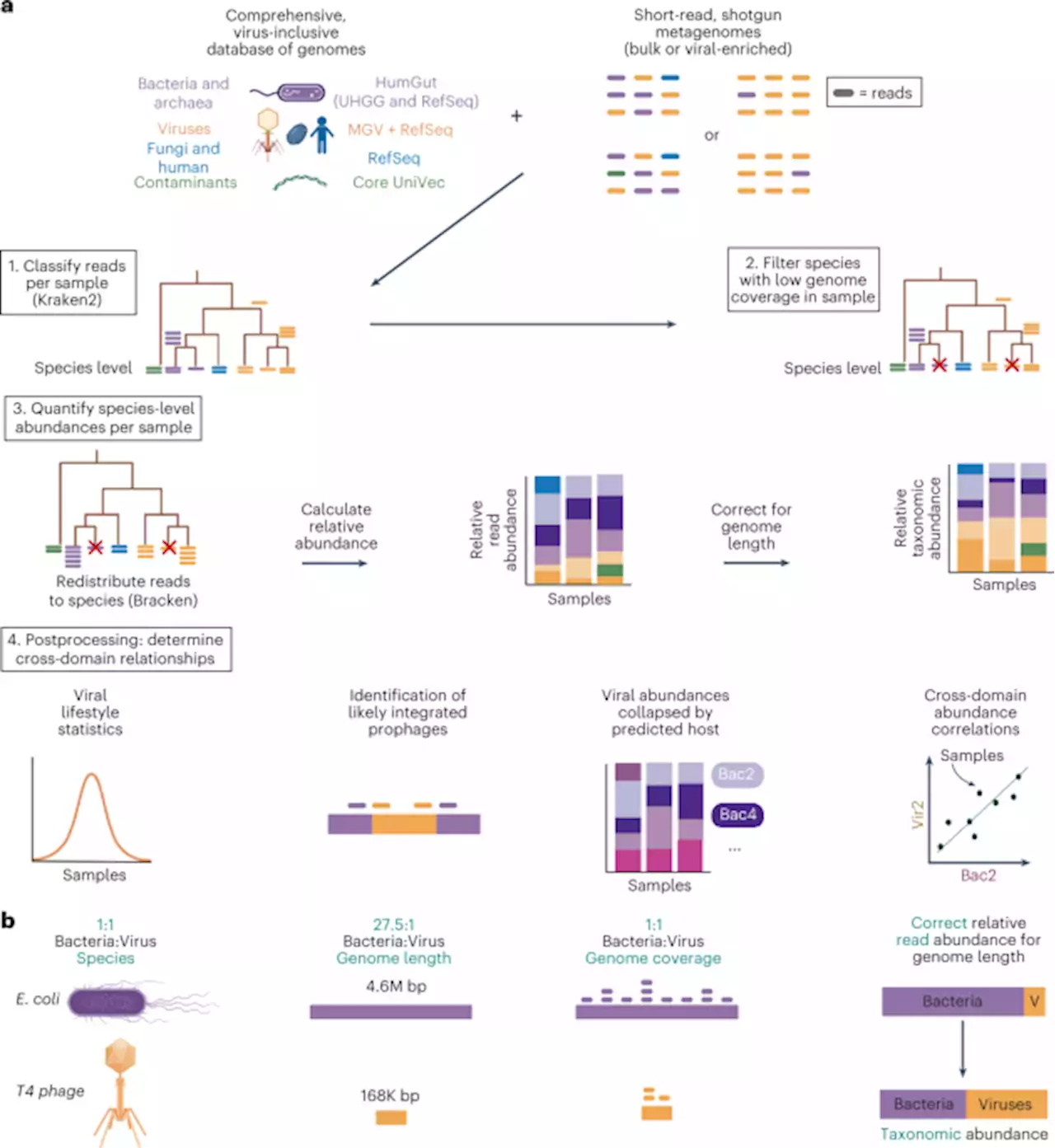 Phage-inclusive profiling of human gut microbiomes with Phanta - Nature Biotechnology