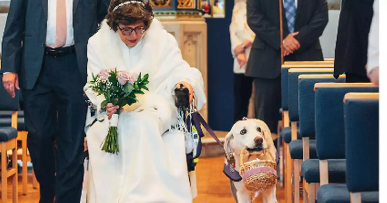 Assistance dog walks Northampton bride down the aisle on 'perfect' wedding day