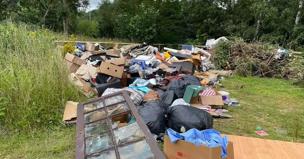 The scale of 'disgusting' rubbish dump blighting dog walking spot