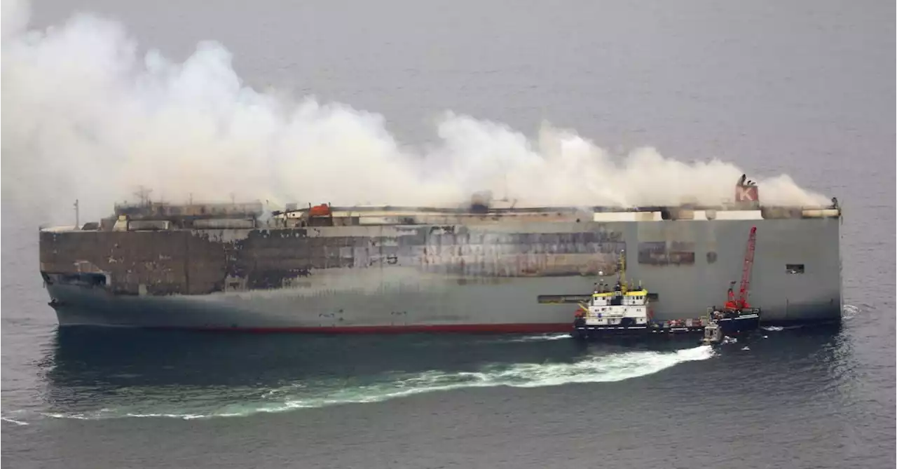 Car transport ship's Japanese owner to investigate Dutch fire