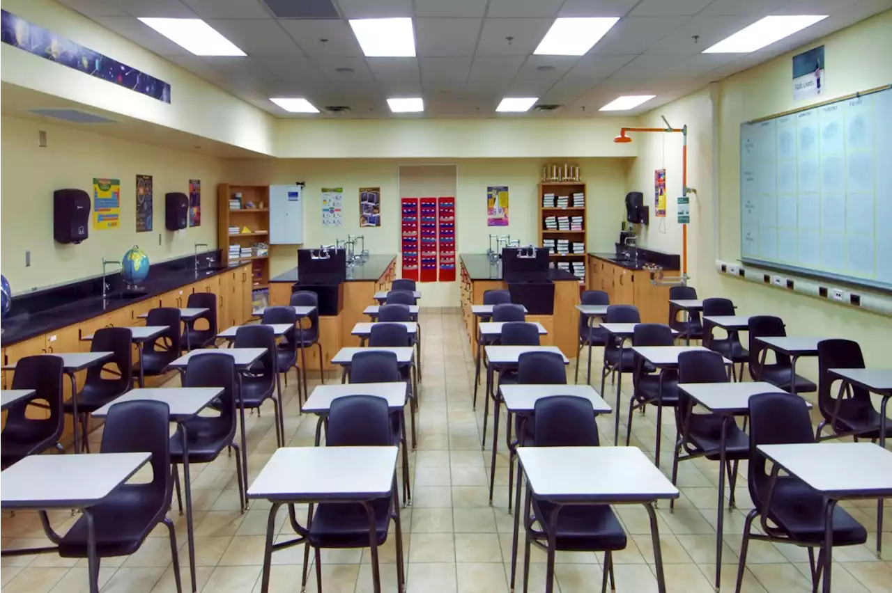 Florida Has 'Effectively Banned' AP Psychology, College Board Says